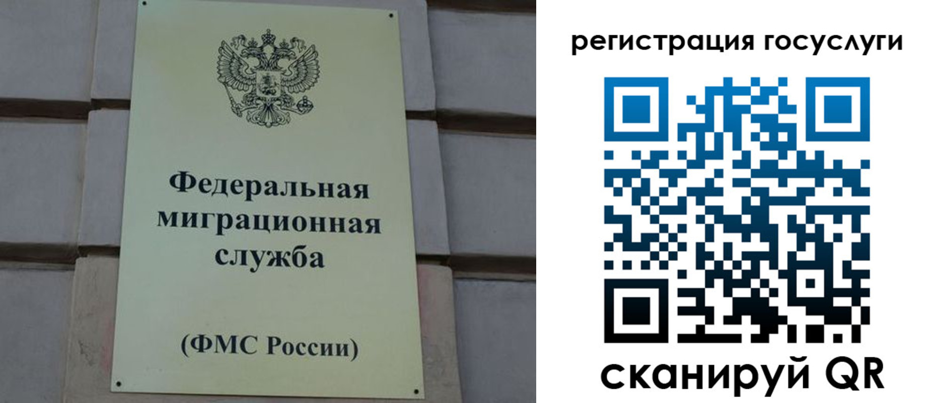 временная регистрация поиск в Реутове